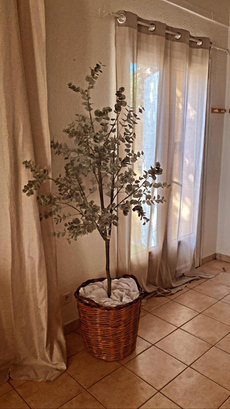 דירות מוגויו Le Mas Du Bosc מראה חיצוני תמונה